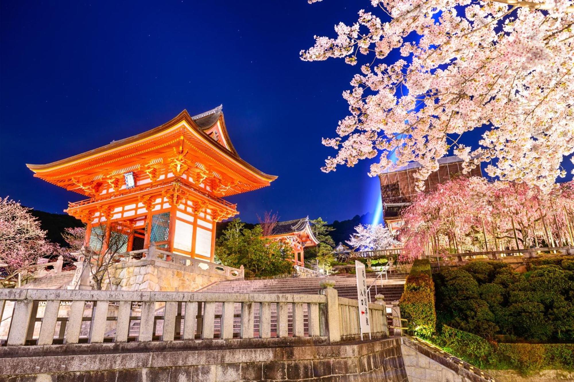 Osaka - Hotel / Vacation Stay 65254 Zewnętrze zdjęcie